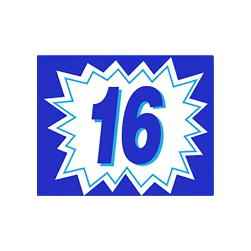 2 Digit Burst Model Year Blue & White Windshield Stickers - Prime Dealer Supply