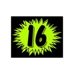 Thumbnail for Chartreuse Windshield Sticker year 16