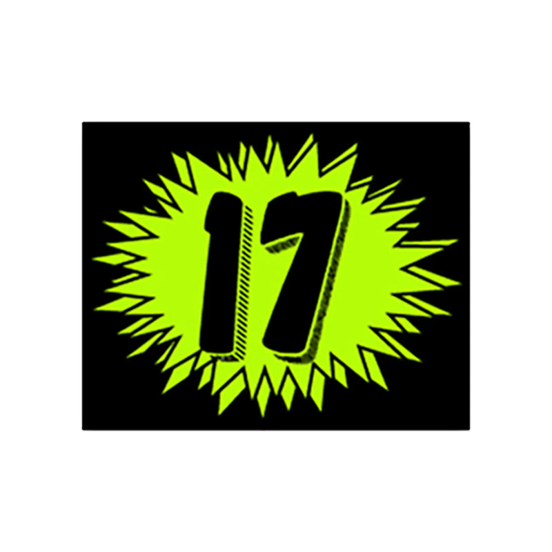 Chartreuse Windshield Sticker year 17