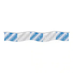 Thumbnail for Blue and Silver Metallic Fringe Pennants.