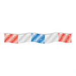 Thumbnail for Red Silver Blue Metallic Fringe Pennants