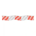 Thumbnail for Red and Silver Metallic Fringe Pennants.