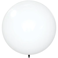 White balloon on a white background