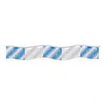 Thumbnail for Blue and Silver Metallic Fringe Pennants.