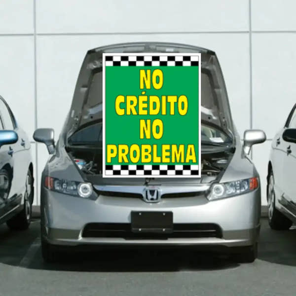 Underhood Signs Race Theme - Prime Dealer Supply