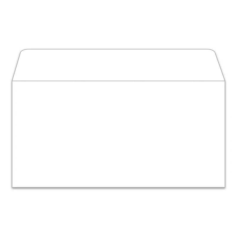 Blank license plate envelopes in white 13” x 6-1/2”.